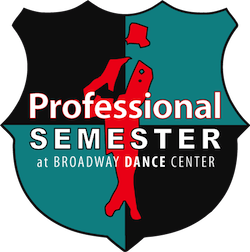 pro_semester_logo
